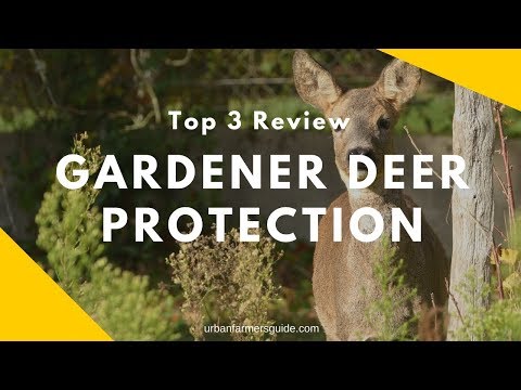 How to Secure your Garden from Deer: Top 3 Gardener Deer Protection