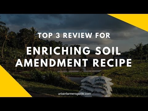 Top 3 Enriching Soil Amendment Recipe: Features &amp; Review