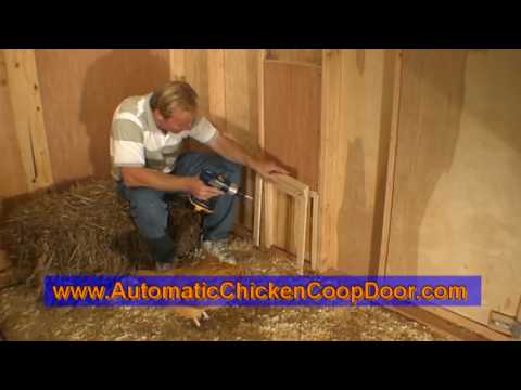 How To Install an Automatic Chicken Coop Door
