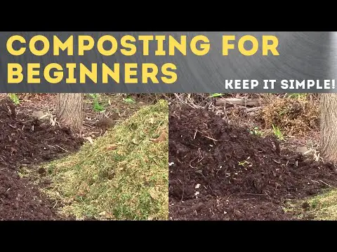 The Beginner Guide to Composting 3