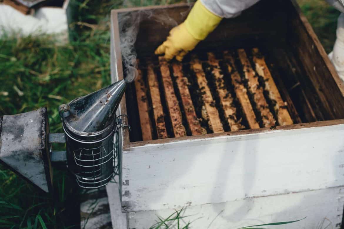 The Guide To Beekeeping Equipment Names And Pictures Urban Farming Guide