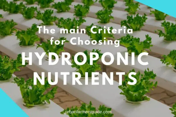 The main Criteria for Choosing the right Hydroponic Nutrients