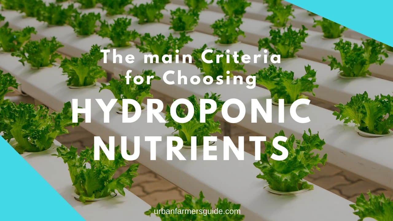 The Main Criteria For Choosing The Right Hydroponic Nutrients