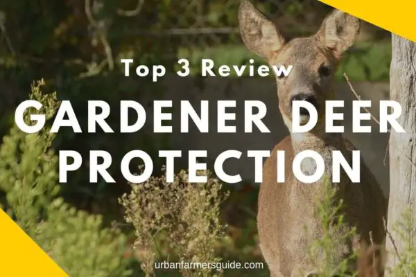 How to Secure your Garden from Deer_ Top 3 Gardener Deer Protection