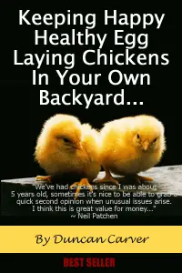 Keeping Happy Healthy Egg Laying Chickens In your Own BackYard - Chicken Keeping Secrets