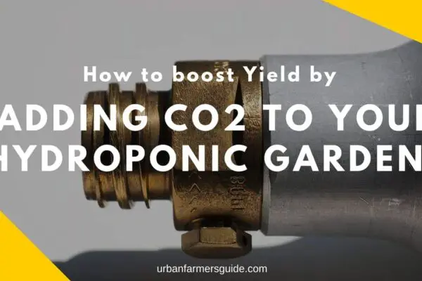Boost Yield by Adding CO2 to Your Hydroponic Garden (CO2 Injectors)