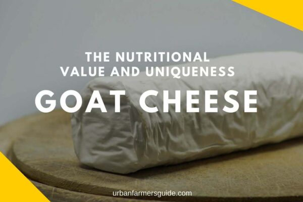Goat Cheese_ The Nutritional Value And Uniqueness