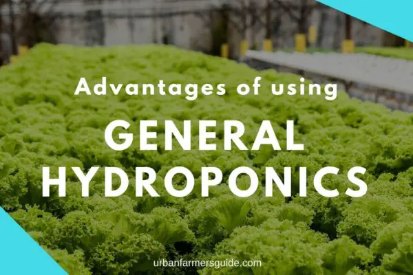 ADVANTAGES OF USING General Hydroponics