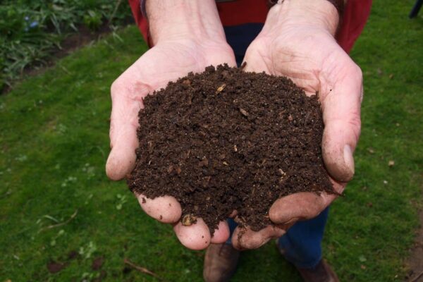 How to Enrich Your Soil Naturally with Composting ? How Long to Make Compost Timing to Compost Heap