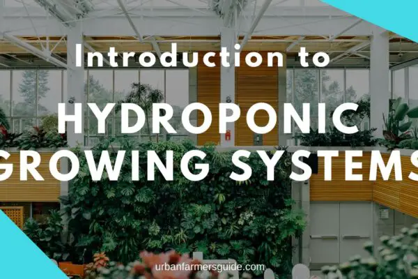 Introduction to Hydroponic Growing Systems