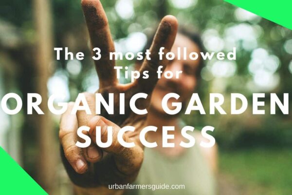 The 3 most followed Tips for Organic Garden Success