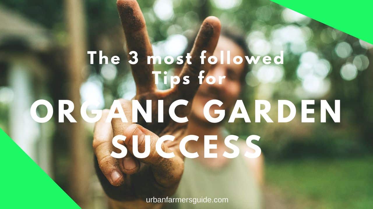 The 3 Most Followed Tips For Organic Garden Success