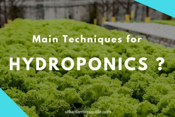 WHAT ARE THE MAIN techniques for Hydroponics