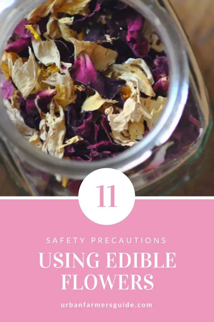 11 Safety Precautions When Using Edible Flowers Pinterest