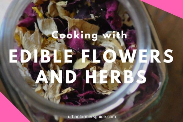Cooking with Edible Flowers and Herbs