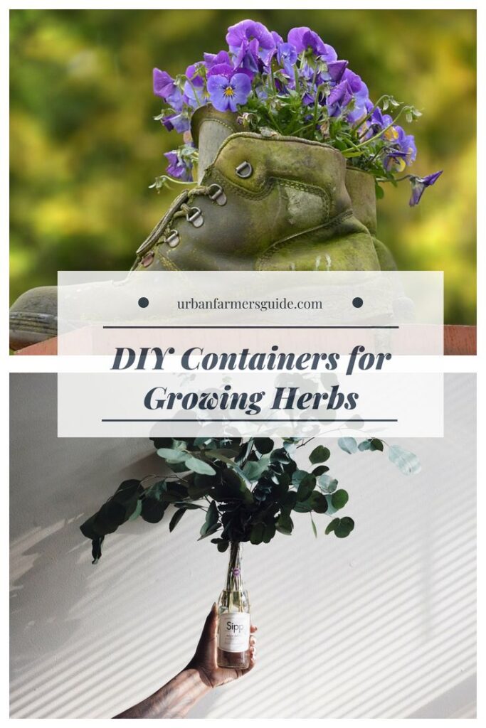 DIY Containers for Growing Herbs Pinterest