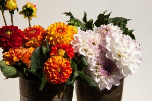 DIY Containers for Growing Herbs Food Cans