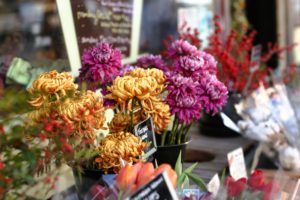 Growing Edible Flowers Chrysanthemums