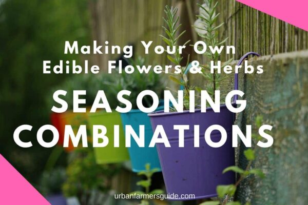 Making Your Own Seasoning Combinations from Edible Flowers and Herbs