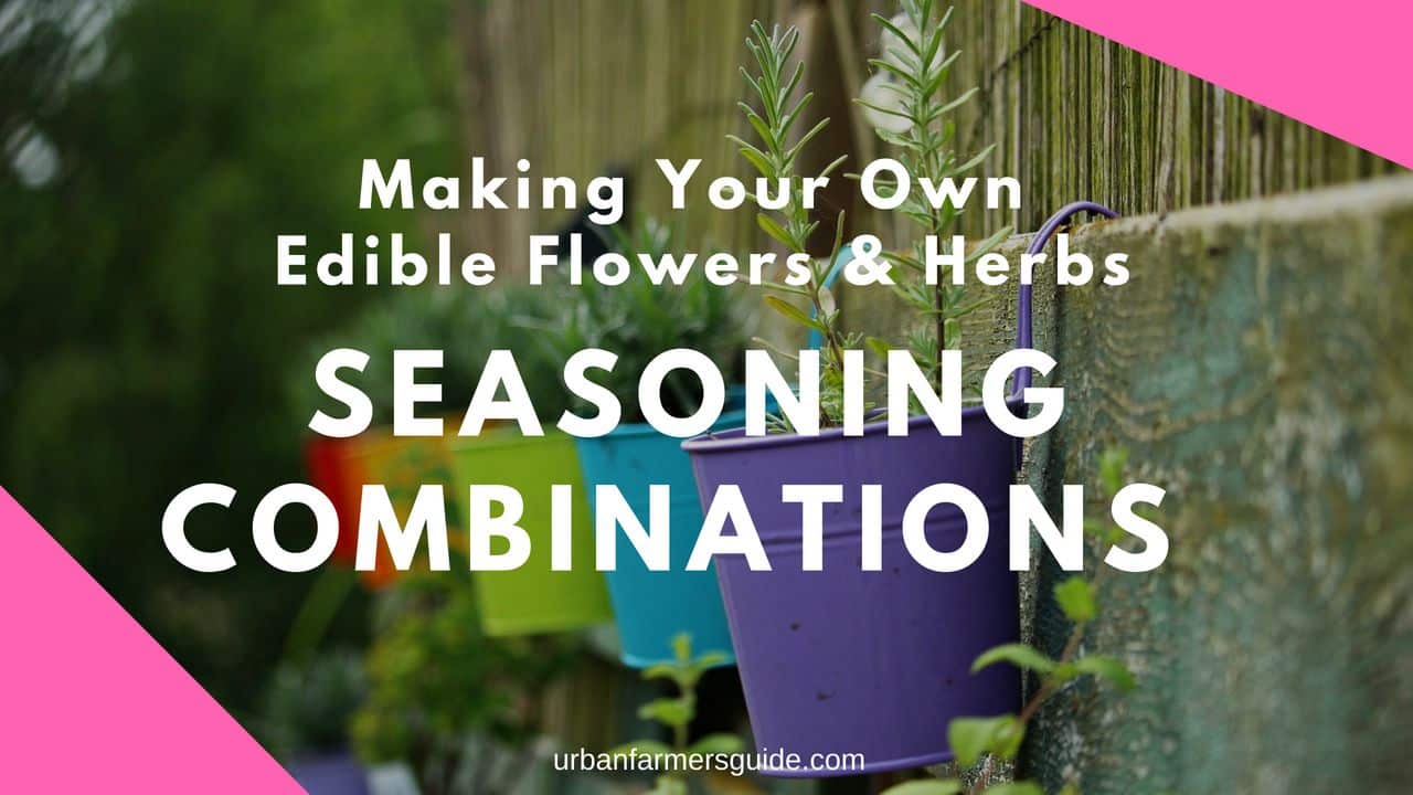 Common Seasoning Combinations From Edible Flowers And Herbs