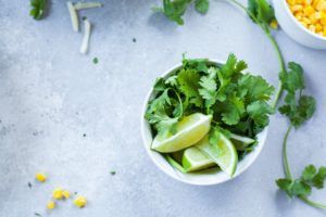 Mexican Herb Garden