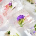 Different Ways to Use Edible Flowers Ice Cubes
