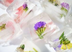 Different Ways to Use Edible Flowers Ice Cubes