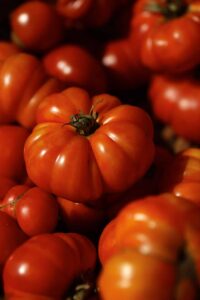 Heirloom Tomatoes Plant