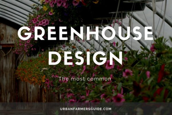 The most common Greenhouse Design