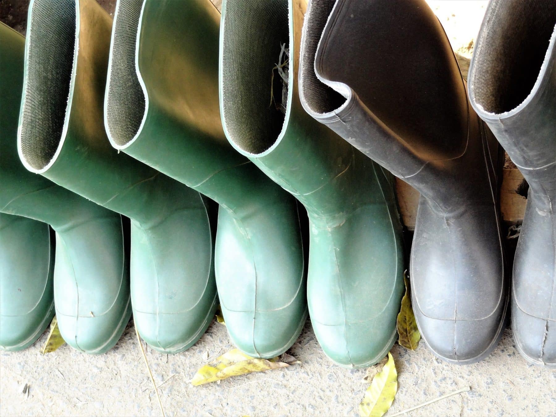 The 15 Most Common Gardening Tools With Name, Use & Picture