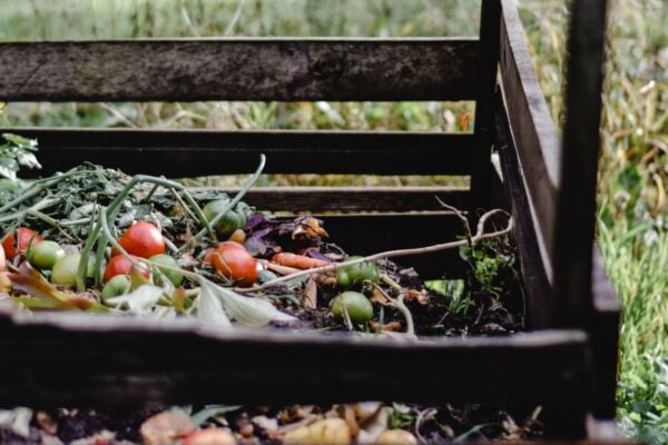 The Beginner guide to Composting Composting 101